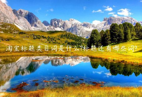 淘寶標(biāo)題類目詞是什么?標(biāo)題還有哪些詞?